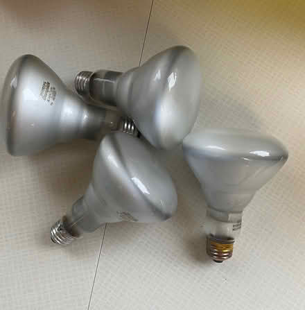 Photo of free Flood light bulbs (Kanata Lakes/Beaverbrook) #1