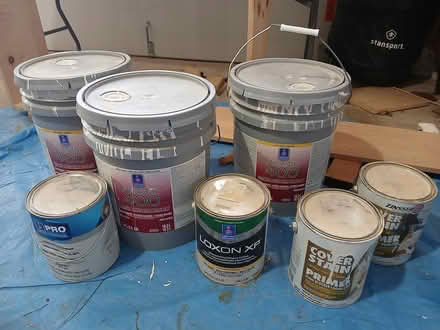 Photo of free Old Paint (Lithonia) #1