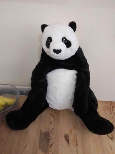 Photo of free Large Panda (Killamarsh S21) #1