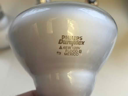 Photo of free Flood light bulbs (Kanata Lakes/Beaverbrook) #2