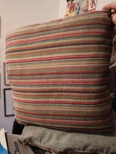 Photo of free Cushions (New York NE29) #1