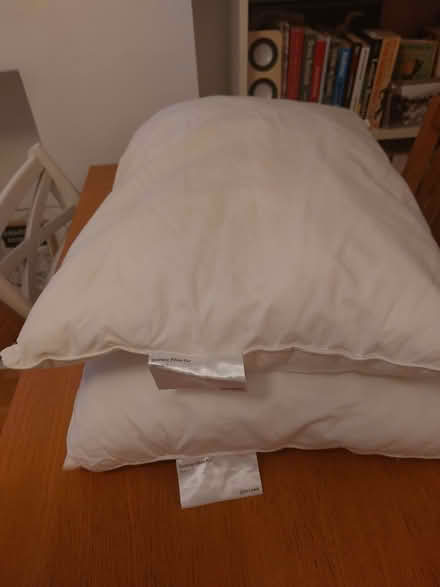 Photo of free 4 x John Lewis pillows (London Rd Station area BN1) #2