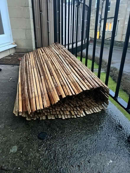 Photo of free 5 m of bamboo (Lansdown) #1