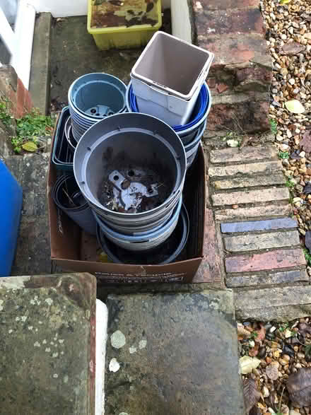 Photo of free A load of plant pots (IP1) #1