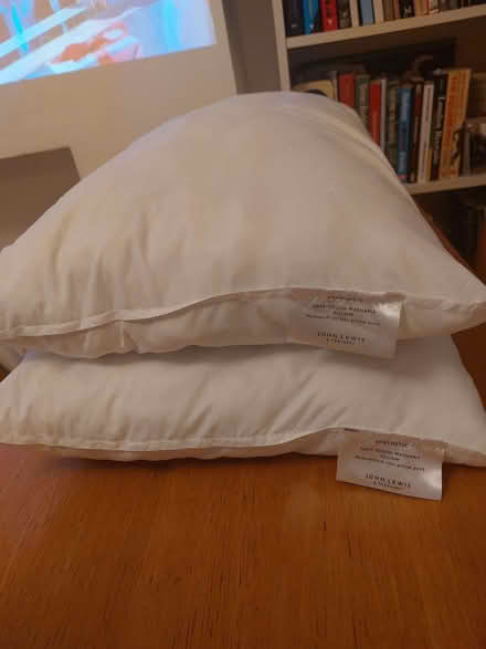 Photo of free 4 x John Lewis pillows (London Rd Station area BN1) #1