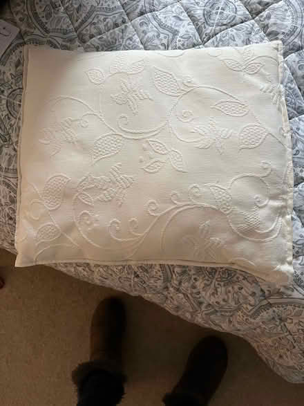 Photo of free Cushion (Chargrove GL53) #1