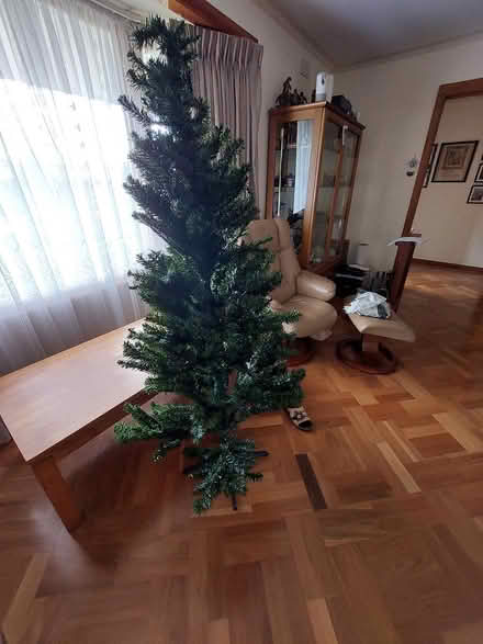 Photo of free Christmas Tree (Craigieburn) #1