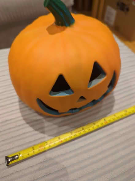 Photo of free Plastic pumpkin (Lower Earley RG6) #1