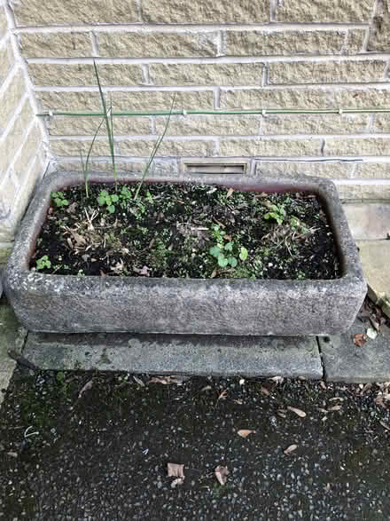 Photo of free Stone trough/planter (Sandal WF2) #1