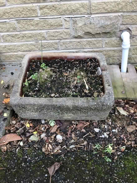 Photo of free Smaller Stone trough/planter (Sandal WF2) #1