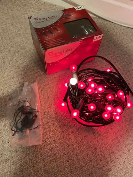 Photo of free Set of Fairy Lights (Lostock Hall PR5) #1