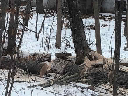 Photo of free Wood for burning (Carleton,place) #1