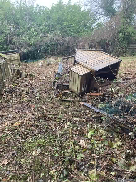 Photo of free Old Chicken Houses runs (Pensford) #2