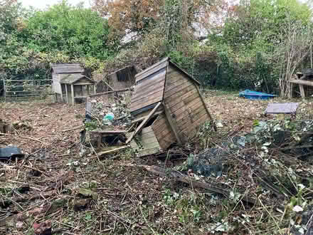 Photo of free Old Chicken Houses runs (Pensford) #1