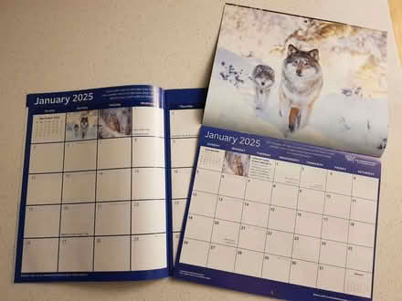 Photo of free Animal Lovers 2025 calendar & daily planner (North Hinksey OX2) #2