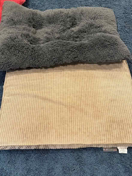 Photo of free Dog/pet beds (Roosevelt/Seattle) #1