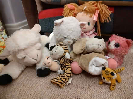 Photo of free Soft toys (Southport PR8) #1