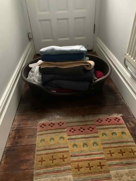 Photo of free Dog bed etc (GU11) #1