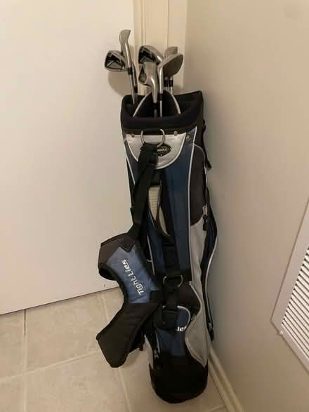 Photo of free Golf Clubs and bag (Danbury Forest) #1