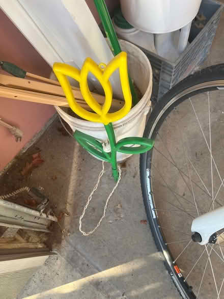 Photo of free Light up tulip (Near Busse and Golf) #3