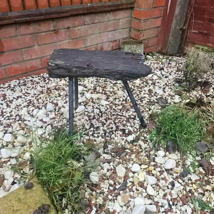 Photo of free Driftwood Garden Feature (Rackheath NR13) #1