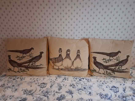 Photo of free Three cushions (Braintree CM7) #1