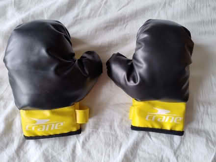 Photo of free Youth Boxing Gloves (Kingston Bagpuize OX13) #1