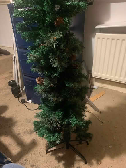 Photo of free Christmas tree (Leighton Buzzard LU7) #2