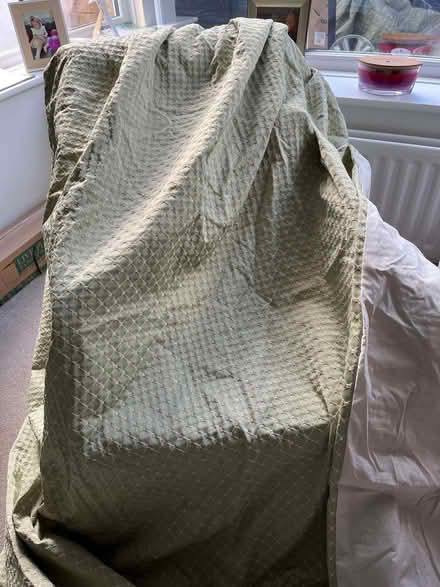 Photo of free Curtains (TN23) #1