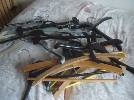 Photo of free Clothes hangers (Barming ME16) #1