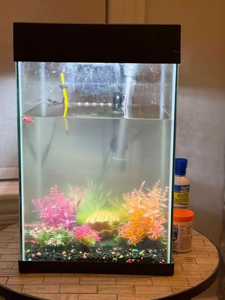 Photo of free 10 gallon fish tank (Naperville downtown) #1