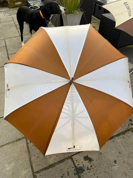 Photo of free Large Renishaw umbrella (Cambridge GL2) #3