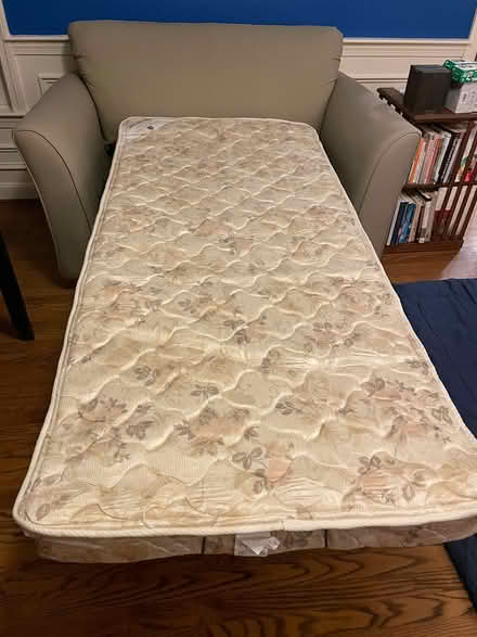 Photo of free Single sofa with pull-out bed (Avon, CT) #2