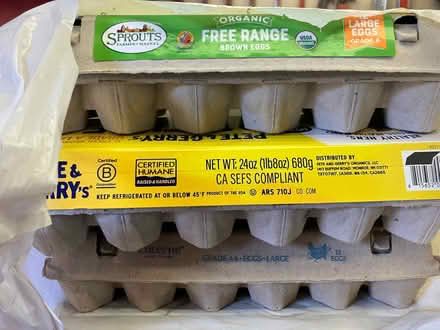 Photo of free A Dozen Egg Cartons (Winnetka) #1