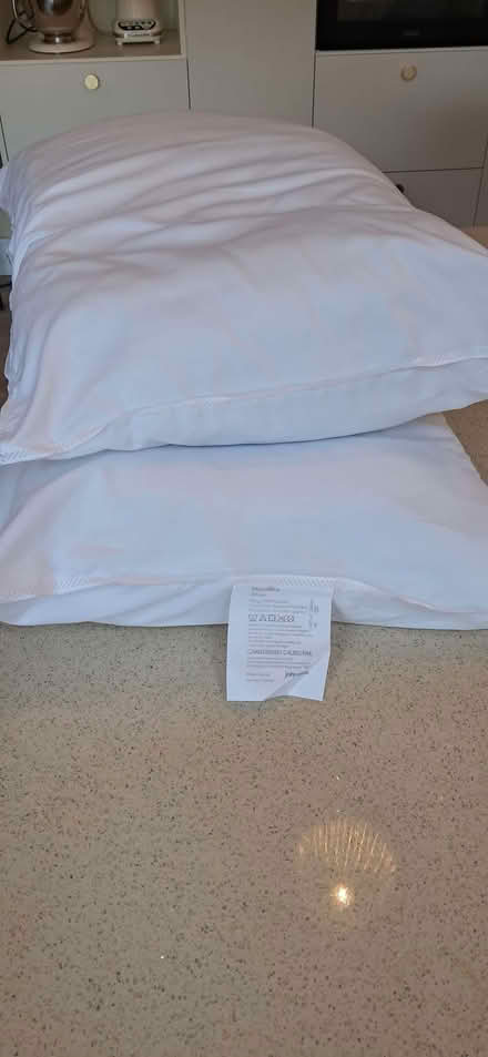 Photo of free 2 microfibre pillows (Dunston LN4) #1