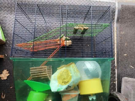 Photo of free Hamster cage, toys, bedding, food (SS16) #3