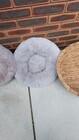 Photo of free Pet bedding- basket and fluffy beds. Garran #2