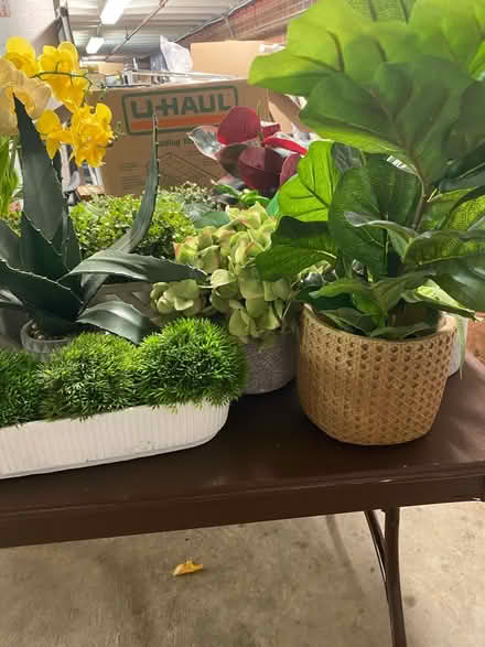 Photo of free Fake Plants (South Old Town Alexandria) #1