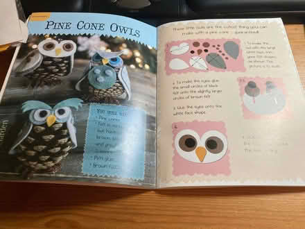 Photo of free Owl Art - Craft Projects (CT5) #2