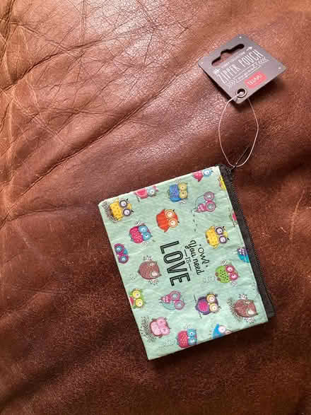 Photo of free Owl little coin zipped purse (CM12) #1