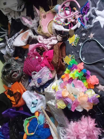 Photo of free Loads of fancy dress stuff (Battle Hill NE28) #1