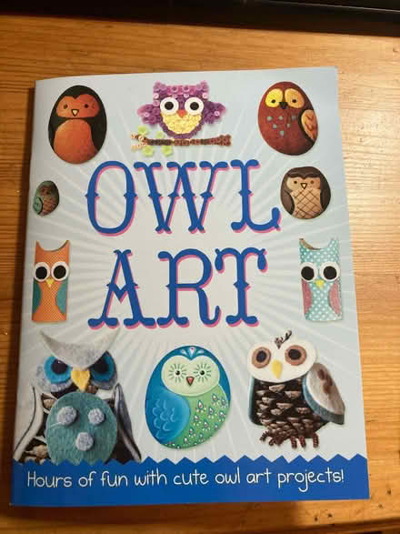 Photo of free Owl Art - Craft Projects (CT5) #1