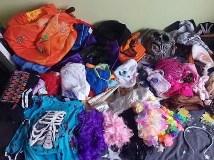 Photo of free Loads of fancy dress stuff (Battle Hill NE28) #3