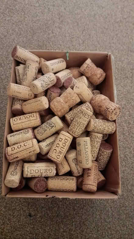 Photo of free Used wine corks (Garstang PR3) #1