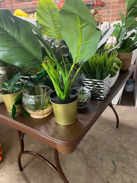 Photo of free Fake Plants (South Old Town Alexandria) #2