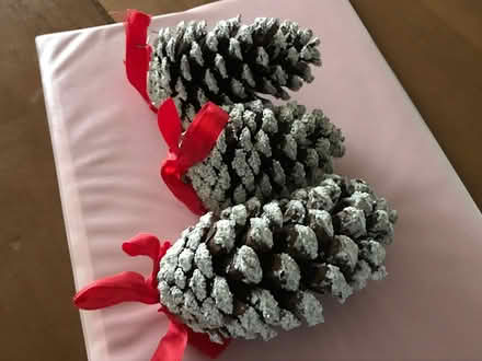 Photo of free Flocked Pine Cone ornaments (11) (Bridgeport, PA) #1