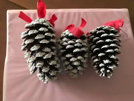 Photo of free Flocked Pine Cone ornaments (11) (Bridgeport, PA) #2