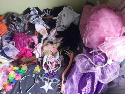 Photo of free Loads of fancy dress stuff (Battle Hill NE28) #2