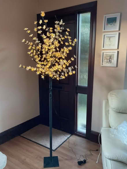 Photo of free Light up blossom tree (South Benfleet SS7) #1