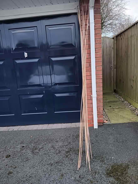 Photo of free 8 foot cane supports (Eccleshall ST21) #1